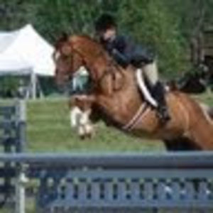 Meet your Posher, Meghan